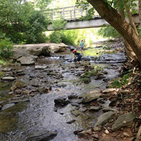 Child playing in creek