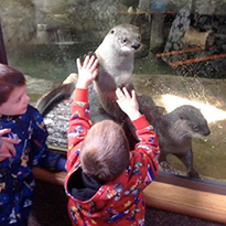 children petting otters