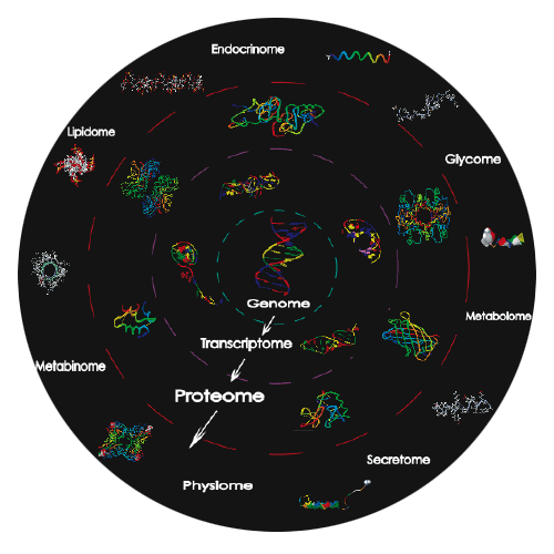 proteome image