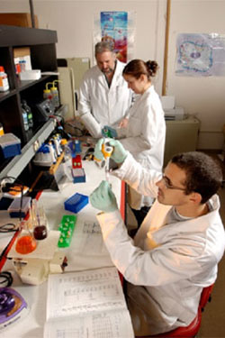 photo of students in a lab