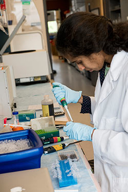 photo of a student in a lab