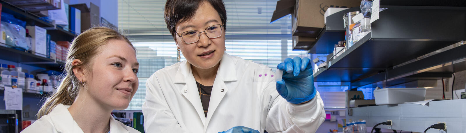 photo of a faculty member and student in a lab