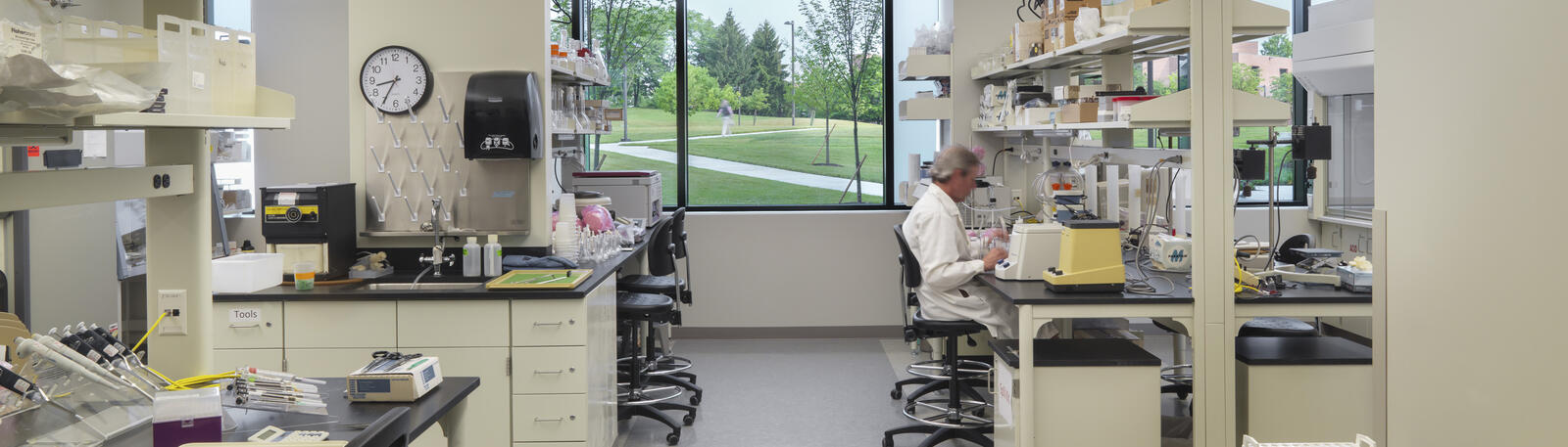 photo of a researcher working in a lab