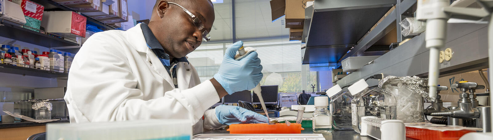 photo of a student working in a lab