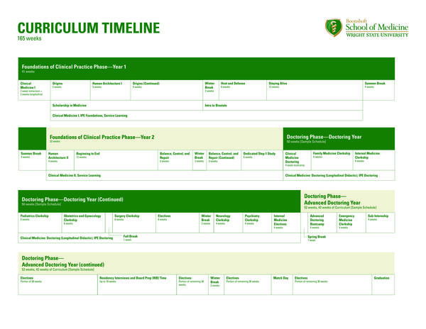 graphic of the curriculum timeline