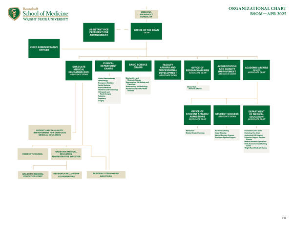 bsom org chart