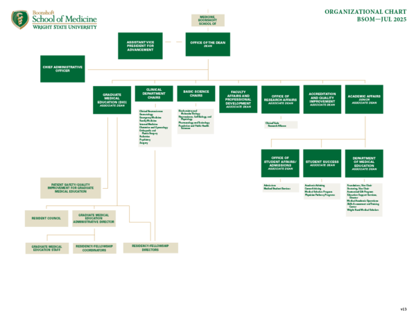 BSOM Organizational Chart July 2025