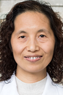 photo of Shumei Man, M.D., Ph.D.